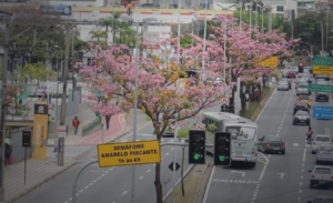 Avenida Afonso Vergueiro em Sorocaba: compras, serviços e mobilidade no eixo central para uma viagem sem perrengue