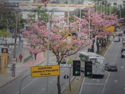 Avenida Afonso Vergueiro em Sorocaba: compras, serviços e mobilidade no eixo central para uma viagem sem perrengue