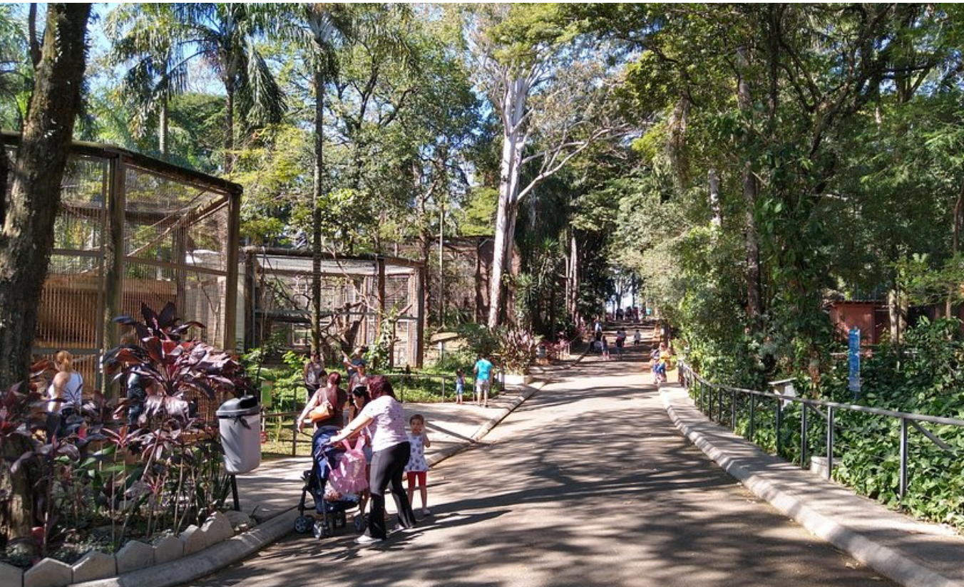 Como planejar a visita ao Zoológico Quinzinho de Barros sem perrengue