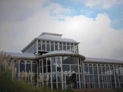 Jardim Botânico de Sorocaba: guia completo para visitar o Palacete de Cristal e viver um turismo sustentável