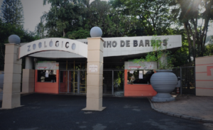 Zoológico Quinzinho de Barros: guia completo para visitar o zoo mais famoso de Sorocaba