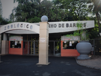 Zoológico Quinzinho de Barros: guia completo para visitar o zoo mais famoso de Sorocaba
